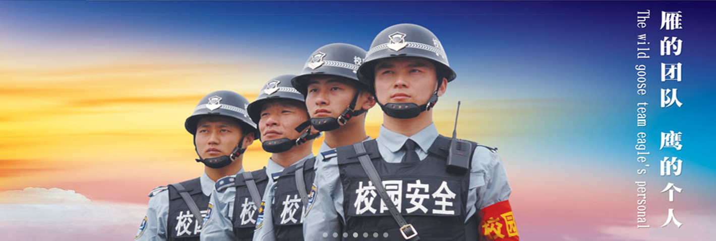 北京保安公司-安全檢查服務